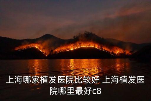 上海哪家植發醫院比較好 上海植發醫院哪里最好c8