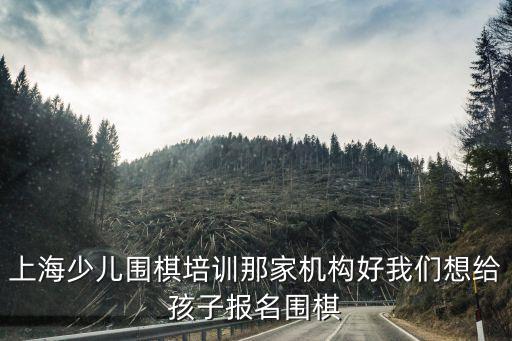 上海少兒圍棋培訓那家機構好我們想給孩子報名圍棋