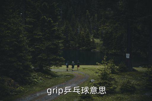  grip乒乓球意思