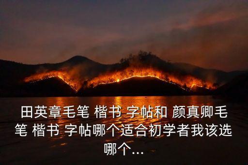 田英章毛筆 楷書 字帖和 顏真卿毛筆 楷書 字帖哪個(gè)適合初學(xué)者我該選哪個(gè)...