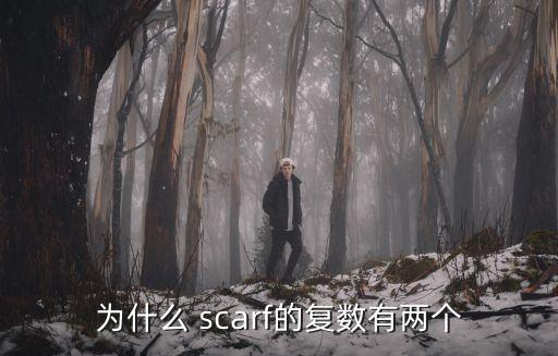 為什么 scarf的復數有兩個