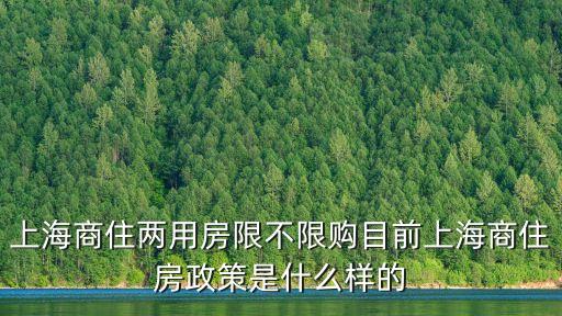 上海市商辦新政，上海商住兩用房限不限購目前上海商住房政策是什么樣的