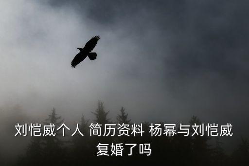 劉愷威個人 簡歷資料 楊冪與劉愷威復婚了嗎