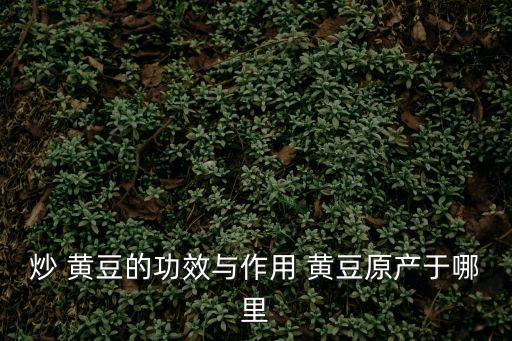 炒 黃豆的功效與作用 黃豆原產(chǎn)于哪里