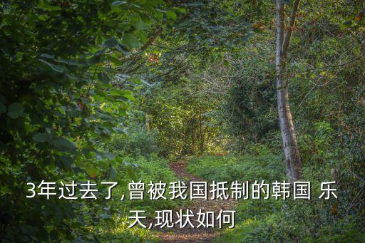 樂天中國,樂天免稅店因制裁-0嚴重傷害中國感情影響中國