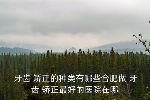  牙齒 矯正的種類有哪些合肥做 牙齒 矯正最好的醫院在哪