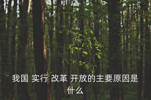 實行改革開放是,改革開放是決定當代中國命運關鍵抉擇