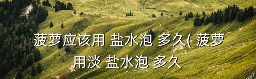  菠蘿應該用 鹽水泡 多久( 菠蘿用淡 鹽水泡 多久