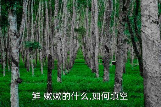 嫩嫩的,第二集:春天的守護(hù)者
