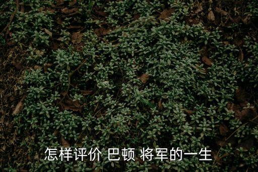 怎樣評價 巴頓 將軍的一生