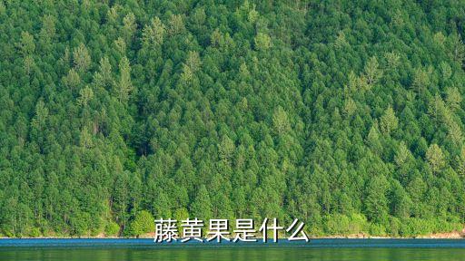 藤黃果，藤黃果有什么副作用
