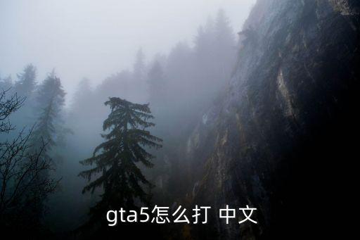 gta5設置中文,怎么進入steam?
