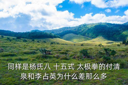 同樣是楊氏八 十五式 太極拳的付清泉和李占英為什么差那么多