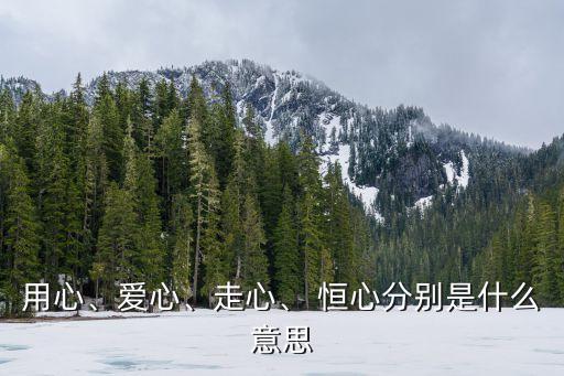 用心、愛心、走心、 恒心分別是什么意思