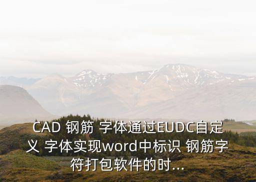 CAD 鋼筋 字體通過EUDC自定義 字體實現word中標識 鋼筋字符打包軟件的時...