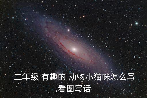 二年級 有趣的 動物小貓咪怎么寫,看圖寫話