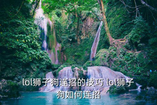 lol獅子狗連招的技巧 lol獅子狗如何連招