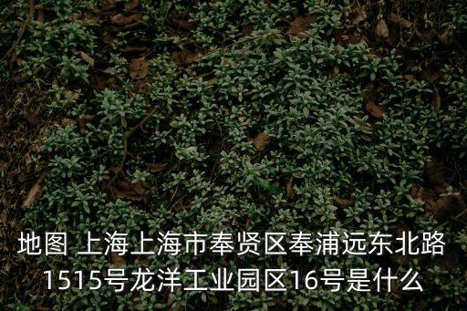 地圖 上海上海市奉賢區(qū)奉浦遠(yuǎn)東北路1515號(hào)龍洋工業(yè)園區(qū)16號(hào)是什么