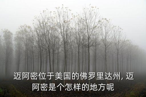  邁阿密位于美國的佛羅里達州, 邁阿密是個怎樣的地方呢