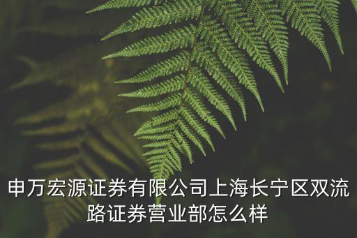 申萬宏源證券有限公司上海長寧區雙流路證券營業部怎么樣