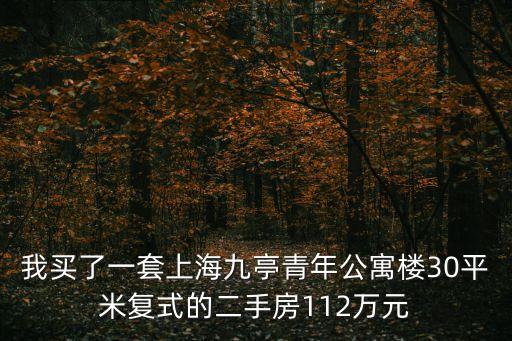 我買了一套上海九亭青年公寓樓30平米復式的二手房112萬元