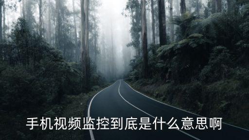 視監什么意思,視頻監控系統是怎么一回事
