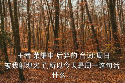 王者榮耀后羿臺詞,后羿臨終遺言:這輩子再也見不到你了