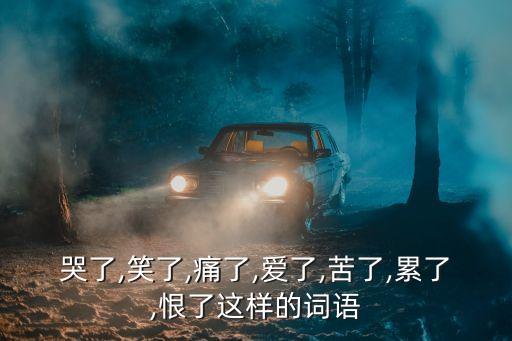 哭了,笑了,痛了,愛了,苦了,累了,恨了這樣的詞語