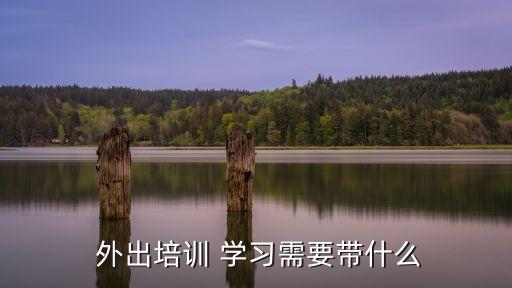  外出培訓 學習需要帶什么