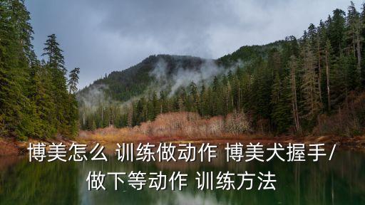 博美犬怎么訓練,怎么讓博美聽話?這些動作教給你!
