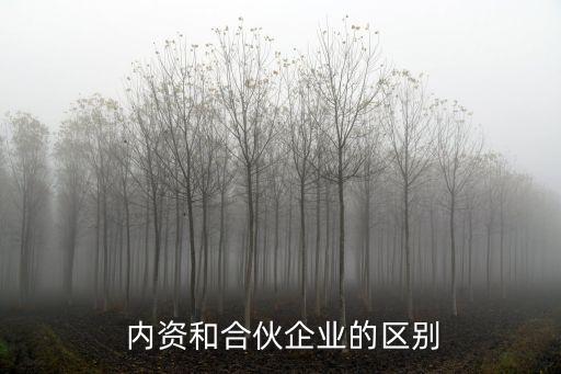  內資和合伙企業的區別