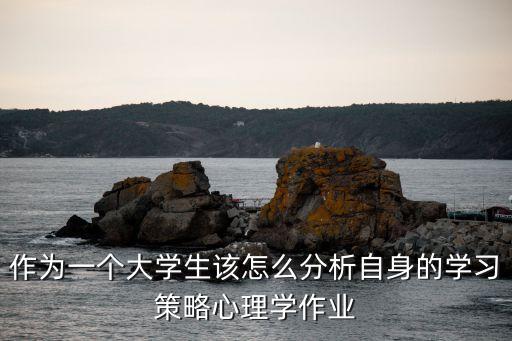 作為一個大學生該怎么分析自身的學習策略心理學作業(yè)