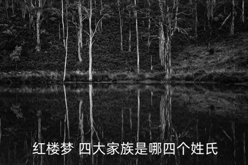 紅樓夢四大家族,紅樓夢四大家族落空了?