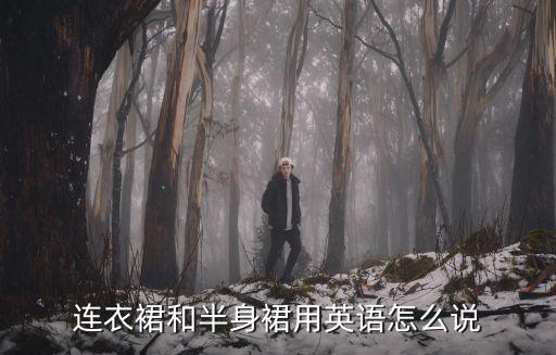 連衣裙的英文，連衣裙和半身裙用英語怎么說