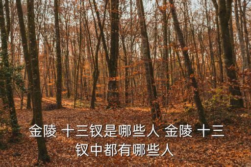 金陵十三釵豆蔻,張藝謀2011年執(zhí)導(dǎo)電影金陵十三柴