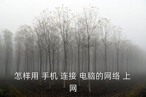怎樣用 手機(jī) 連接 電腦的網(wǎng)絡(luò) 上網(wǎng)