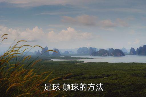 足球顛球教案,業余顛球運動員訓練:用腳背把球踢到正下方