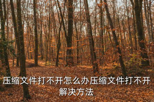 壓縮文件打不開怎么辦壓縮文件打不開解決方法
