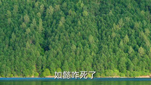 如懿咋死了