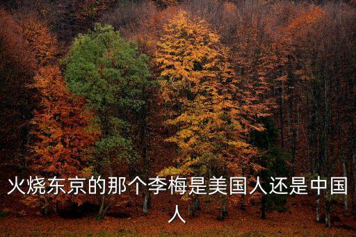 李梅火攻，火燒東京的那個(gè)李梅是美國人還是中國人
