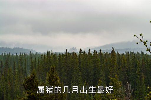 屬豬幾月出生好，豬年幾月出生的人命好