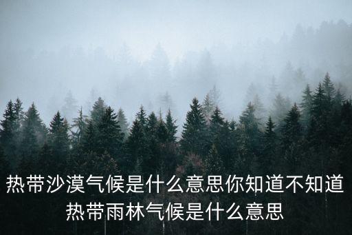 熱帶沙漠氣候，熱帶沙漠氣候的特征