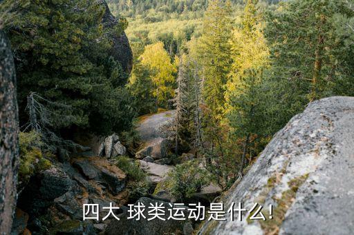 球類,八大球風(fēng)靡全球球類包括棒球、樂樂棒球