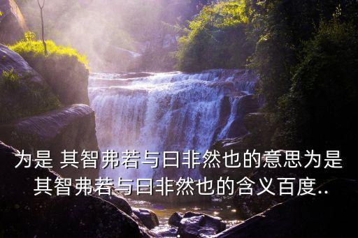 為是其智弗若與,學游戲不三心二意邱毅:其智不如和尚