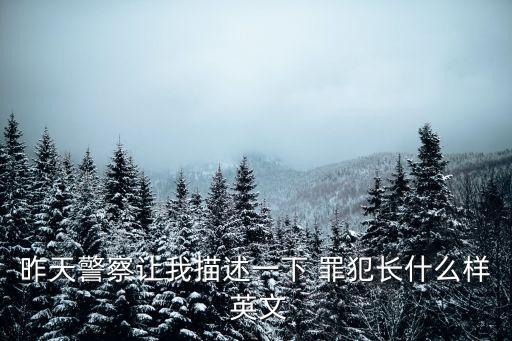 罪犯的英文,警察詢問罪犯外貌幫助尋找第三個逃跑者