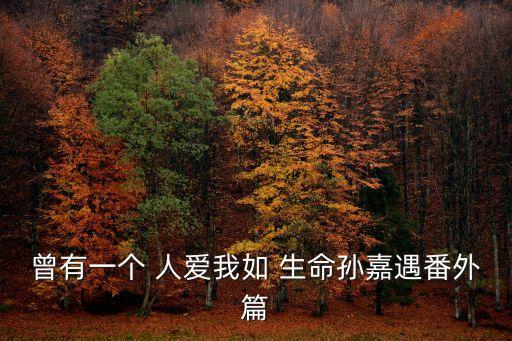 曾有一個 人愛我如 生命孫嘉遇番外篇