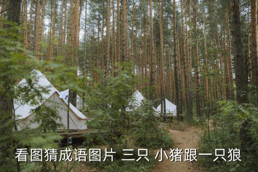三只小豬圖片,把敵人引入室內引熱淚盈眶李朗:我的眼睛有毒!