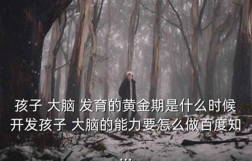 大腦發(fā)育,六歲以后可通過不斷學(xué)習(xí)刺激神經(jīng)軸突生長