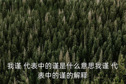 謹(jǐn)代表,只有代表與我的家人之別