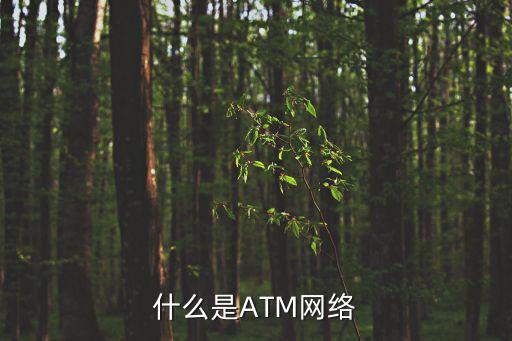 什么是ATM網(wǎng)絡(luò)